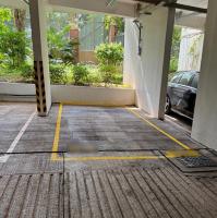  Tai Po Carpark  Shan Yin Road  Grand Palisades  parking space photo 香港車位.com ParkingHK.com