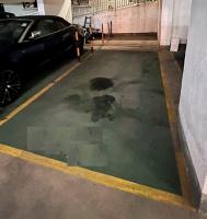  West Mid-Levels Carpark  Babington Path  Elegant Garden  parking space photo 香港車位.com ParkingHK.com
