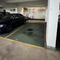  West Mid-Levels Carpark  Babington Path  Elegant Garden  parking space photo 香港車位.com ParkingHK.com
