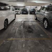  Tai Po Carpark  On Po Lane  Sun Hing Garden  parking space photo 香港車位.com ParkingHK.com