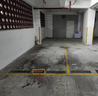  Sha Tin Carpark  Sha Kok Street  Greenwood Garden  parking space photo 香港車位.com ParkingHK.com