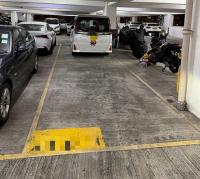  Shau Kei Wan Carpark  Oi Lai Street  Aldrich Garden  parking space photo 香港車位.com ParkingHK.com