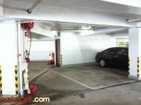  Fo Tan Carpark  Lok King Street  Ficus Garden  parking space photo 香港車位.com ParkingHK.com