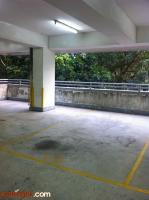  Tai Wai Carpark  Pik Tin Street  Park View Garden  parking space photo 香港車位.com ParkingHK.com